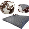 Bean Bags - Darseys Furniture & Mattress