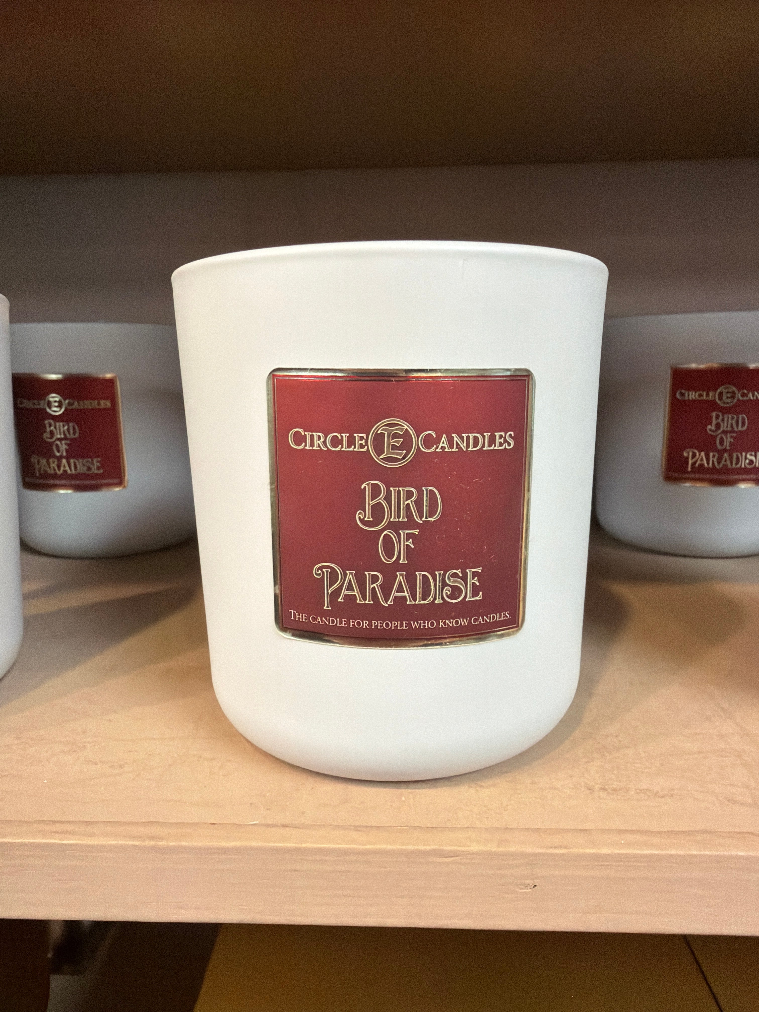 A Circle E Candle 14oz Bird of Paradise with a white wax and a red label sits on a wooden shelf, while more Circle E 14oz Bird of Paradise candles are visible in the background.