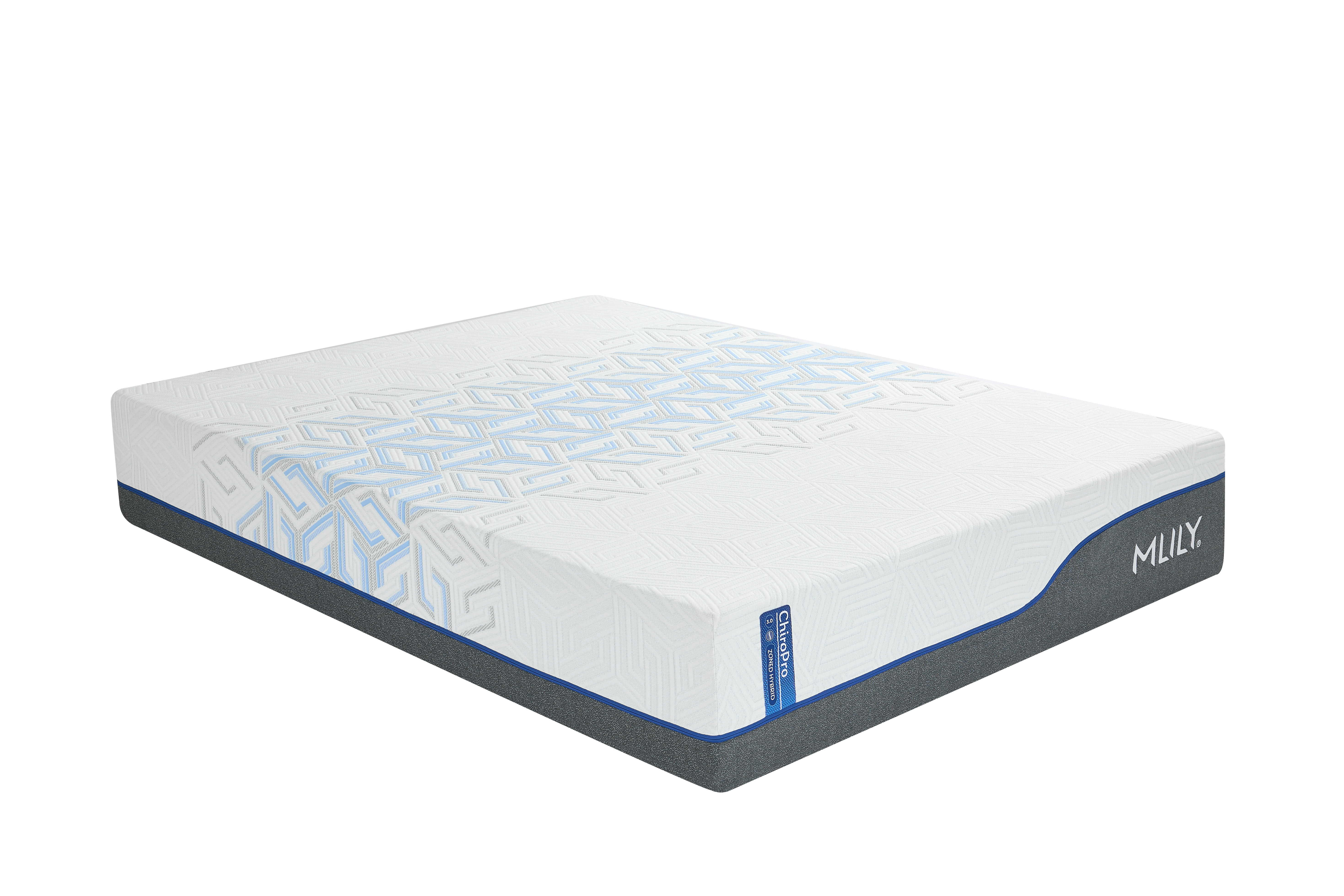 ChiroPro 3.0 Plush