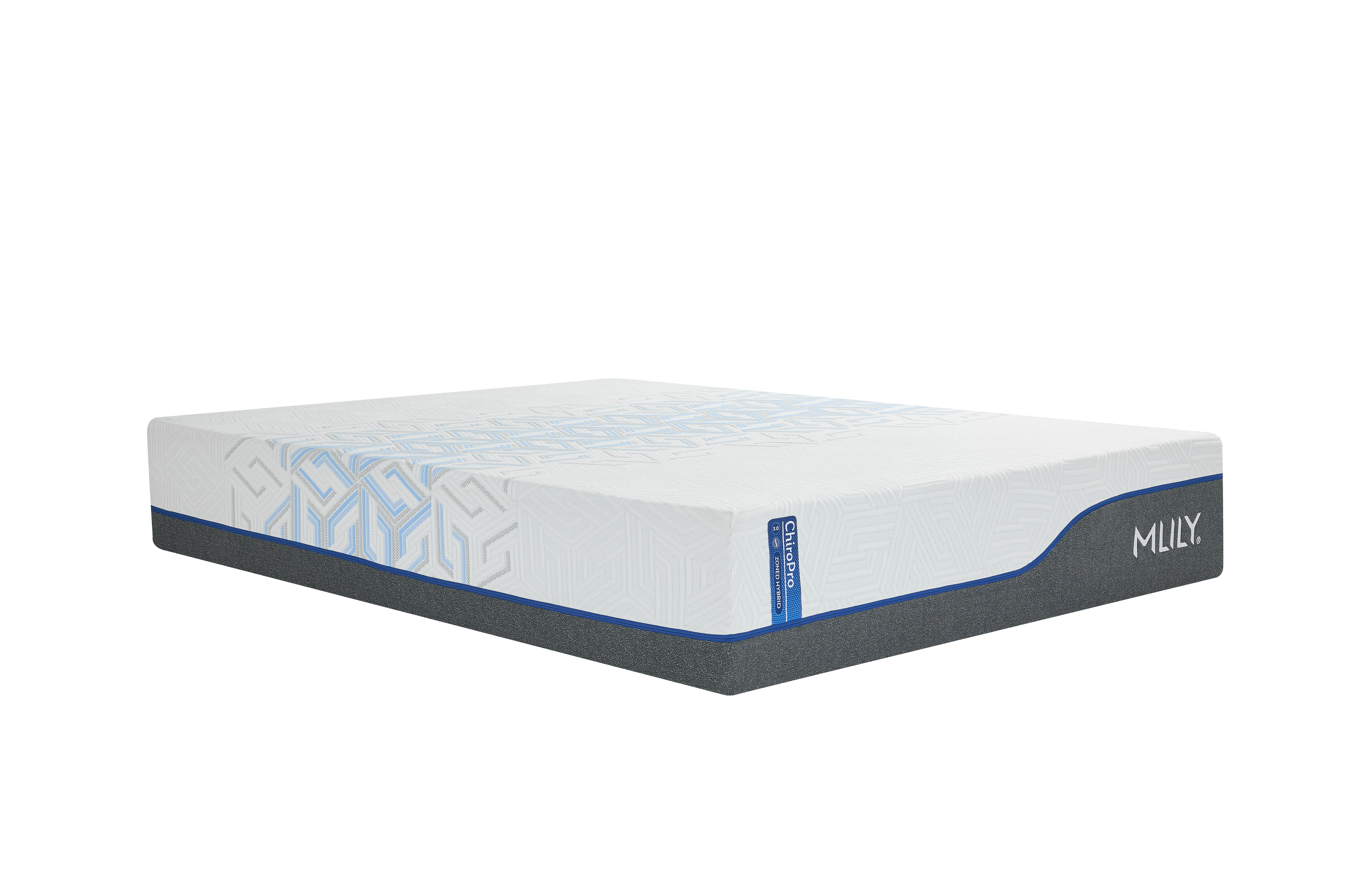 ChiroPro 3.0 Plush