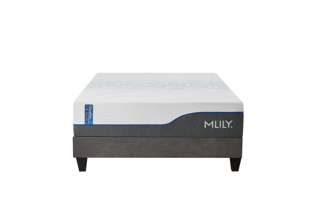 ChiroPro 3.0 Plush Main Image