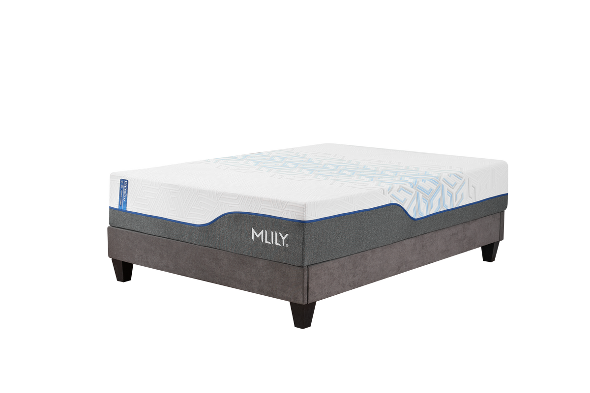 ChiroPro 3.0 Plush