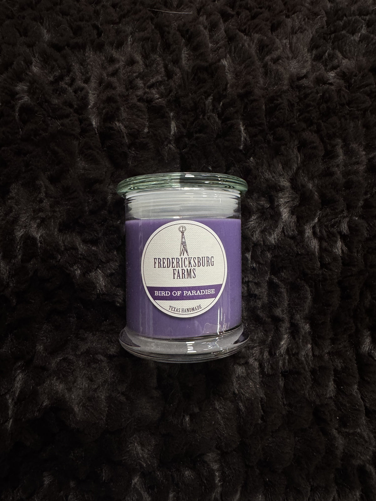 Bird of Paradise 9oz Candle