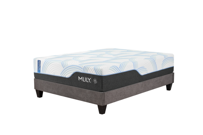 Wellflex Ice 3.0 Plush Hover Image