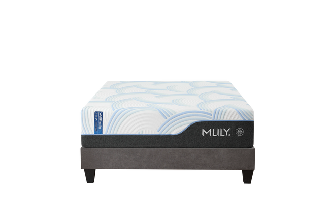 Wellflex Ice 3.0 Plush Main Image