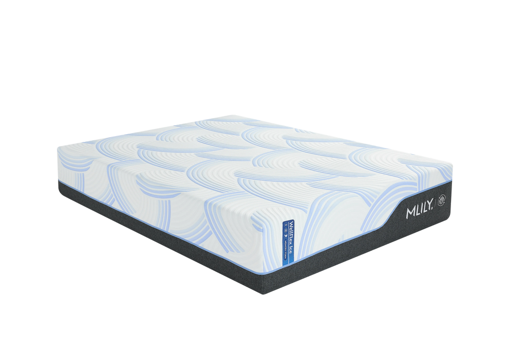 Wellflex Ice 3.0 Plush