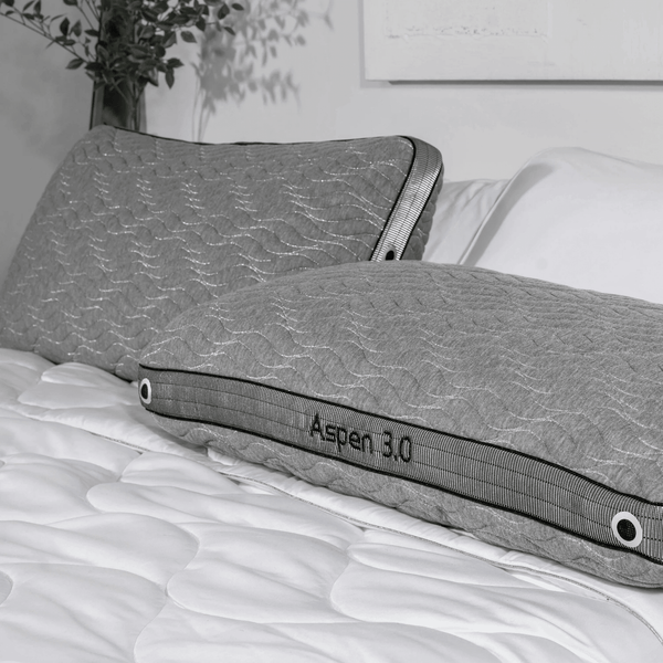 Aspen 1.0 Pillow BGP03421P - Darseys Furniture & MattressBedgear