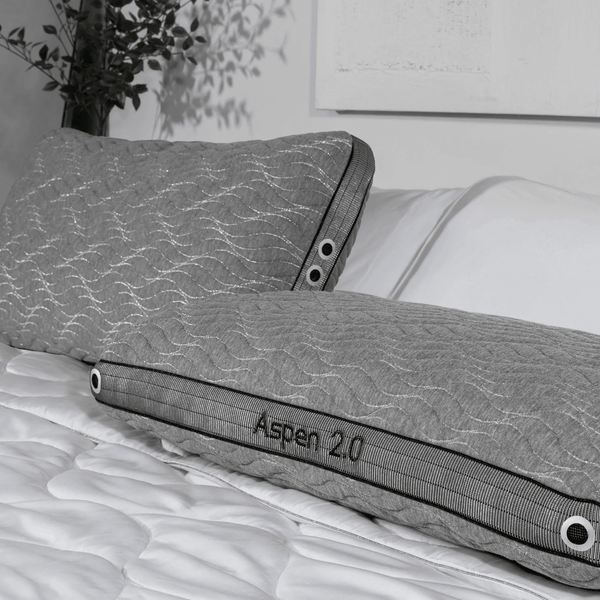 Aspen 1.0 Pillow BGP03421P - Darseys Furniture & MattressBedgear