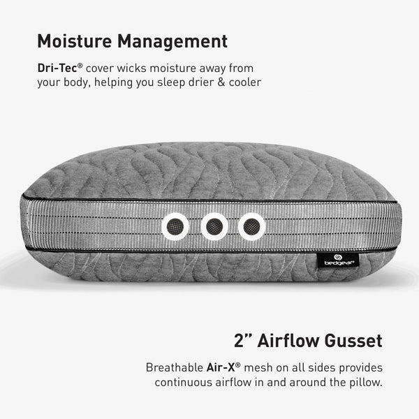 Aspen 1.0 Pillow BGP03421P - Darseys Furniture & MattressBedgear