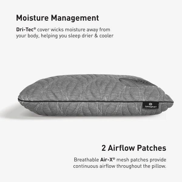 Aspen 1.0 Pillow BGP03421P - Darseys Furniture & MattressBedgear