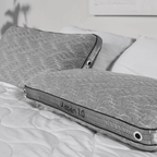 Aspen 2.0 Pillow BGP03422P - Darseys Furniture & MattressBedgear