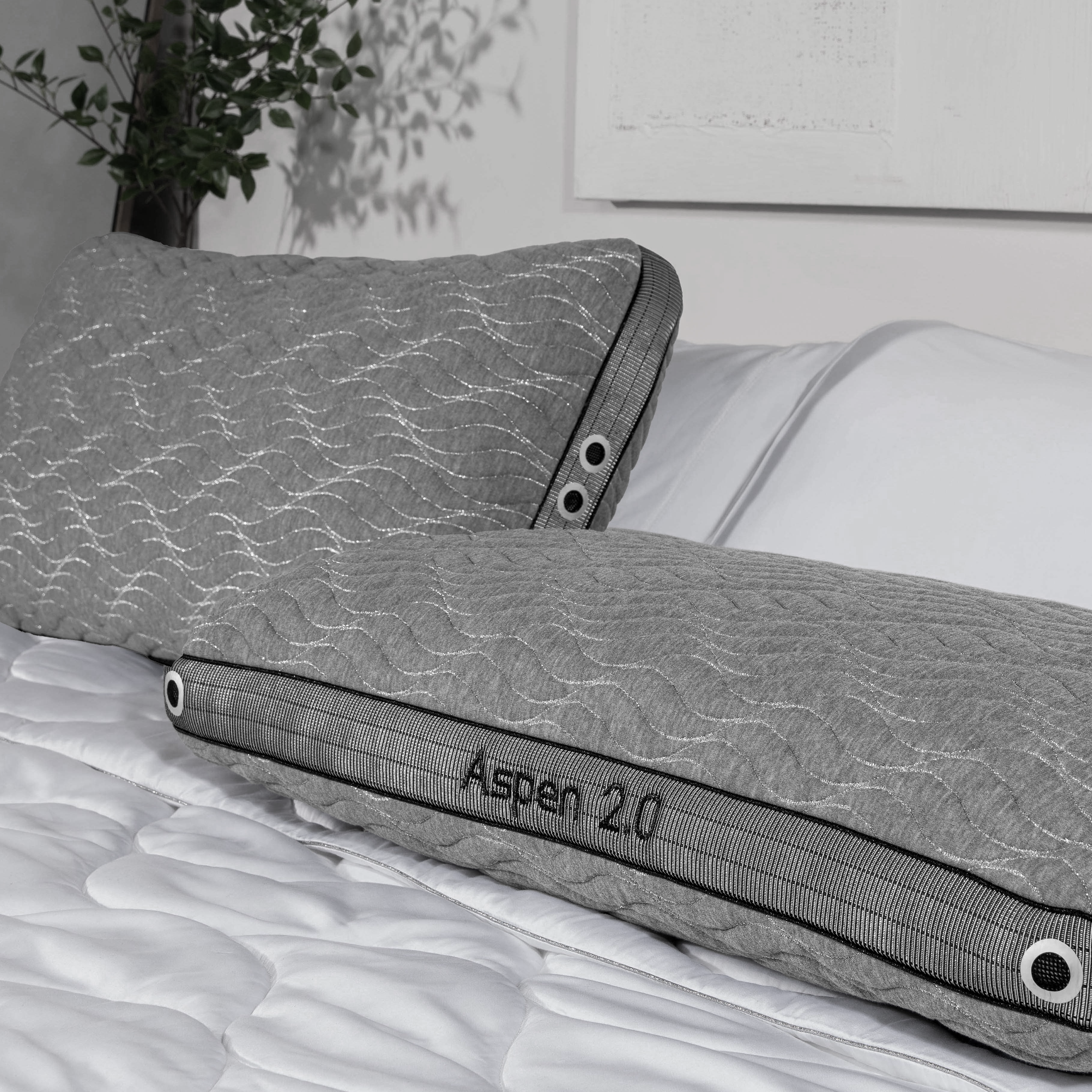 Aspen 1.0 Pillow BGP03421P - Darseys Furniture & Mattress