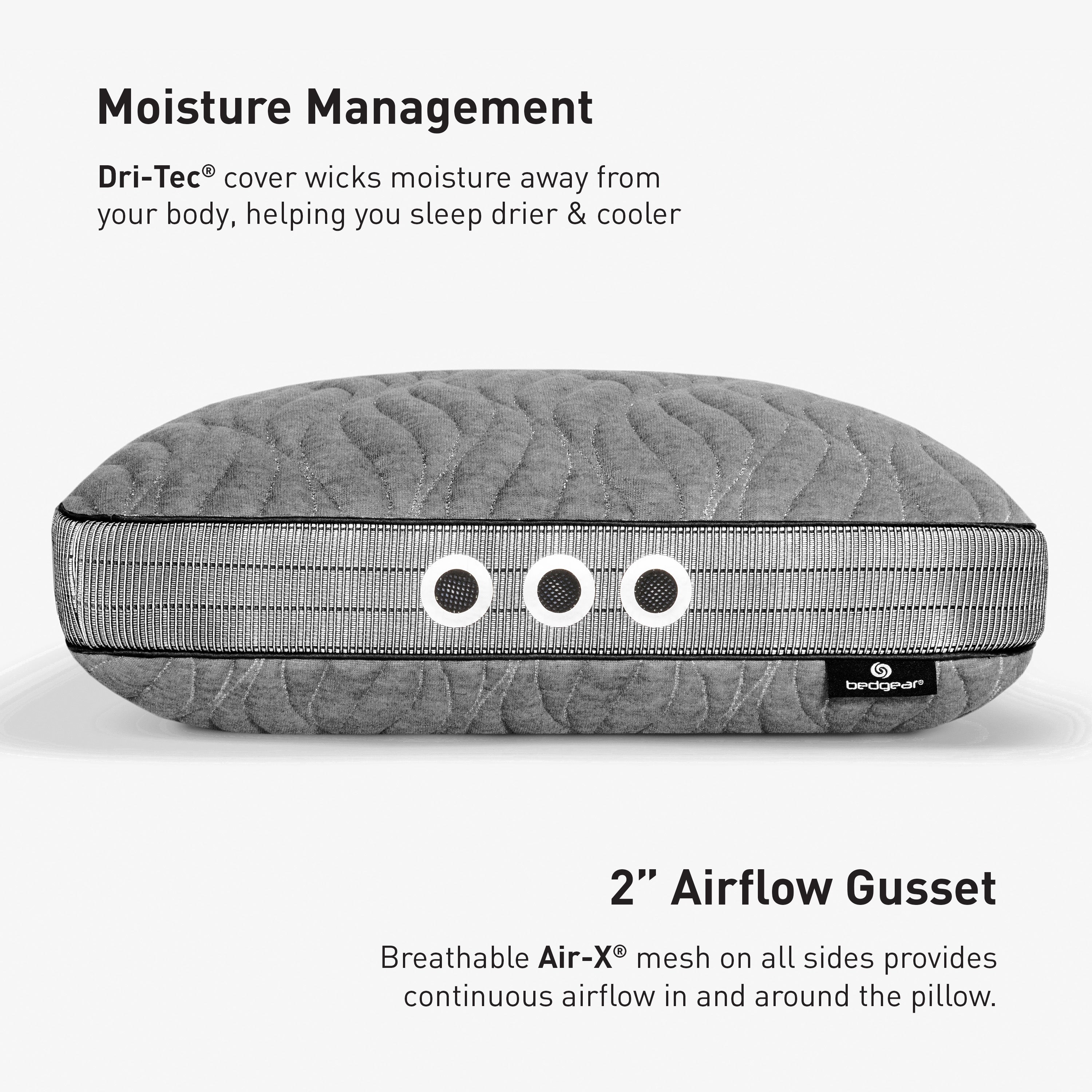 Aspen 2.0 Pillow BGP03422P - Darseys Furniture & Mattress