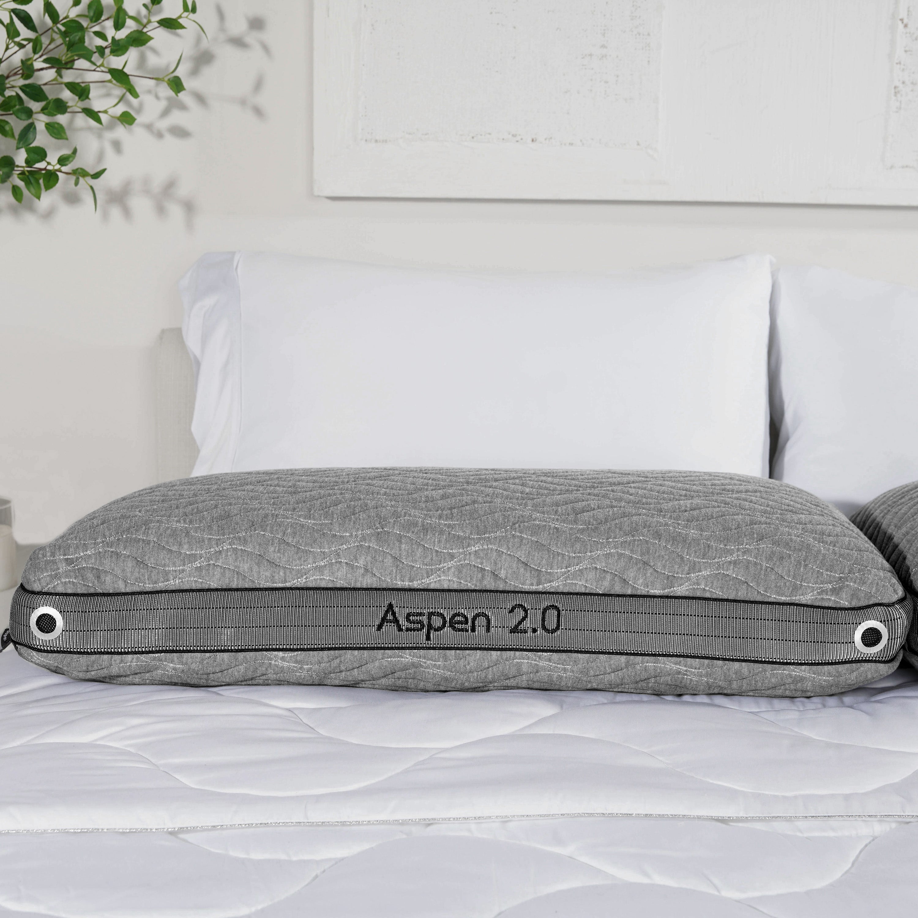Aspen 2.0 Pillow BGP03422P - Darseys Furniture & Mattress