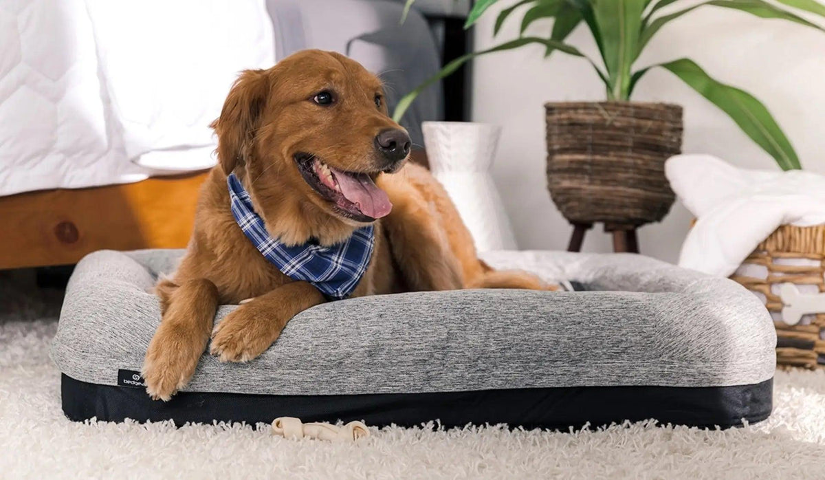 Bedgear Small Performance Dog Bed.