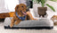 Bedgear XLarge Performance Dog Bed.