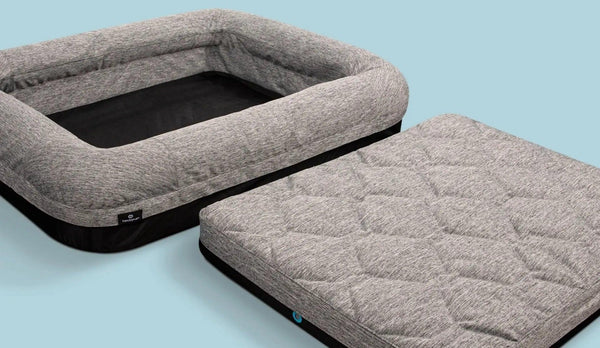 Bedgear Small Performance Dog Bed - Darseys Furniture & MattressBedgear