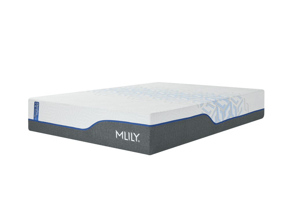 ChiroPro 3.0 Plush - Darseys Furniture & MattressMLILY