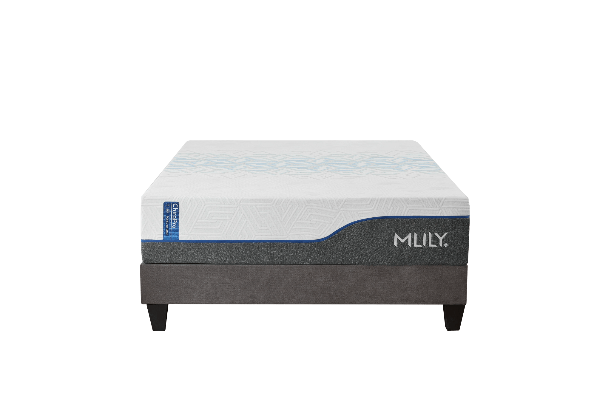 ChiroPro 3.0 Plush - Darseys Furniture & MattressMLILY