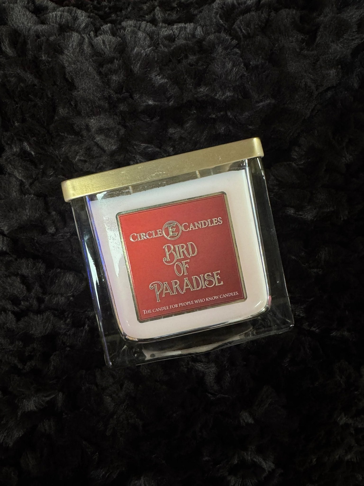 Circle E. Bird of Paradise 43 oz Candle – Darseys Furniture & Mattress