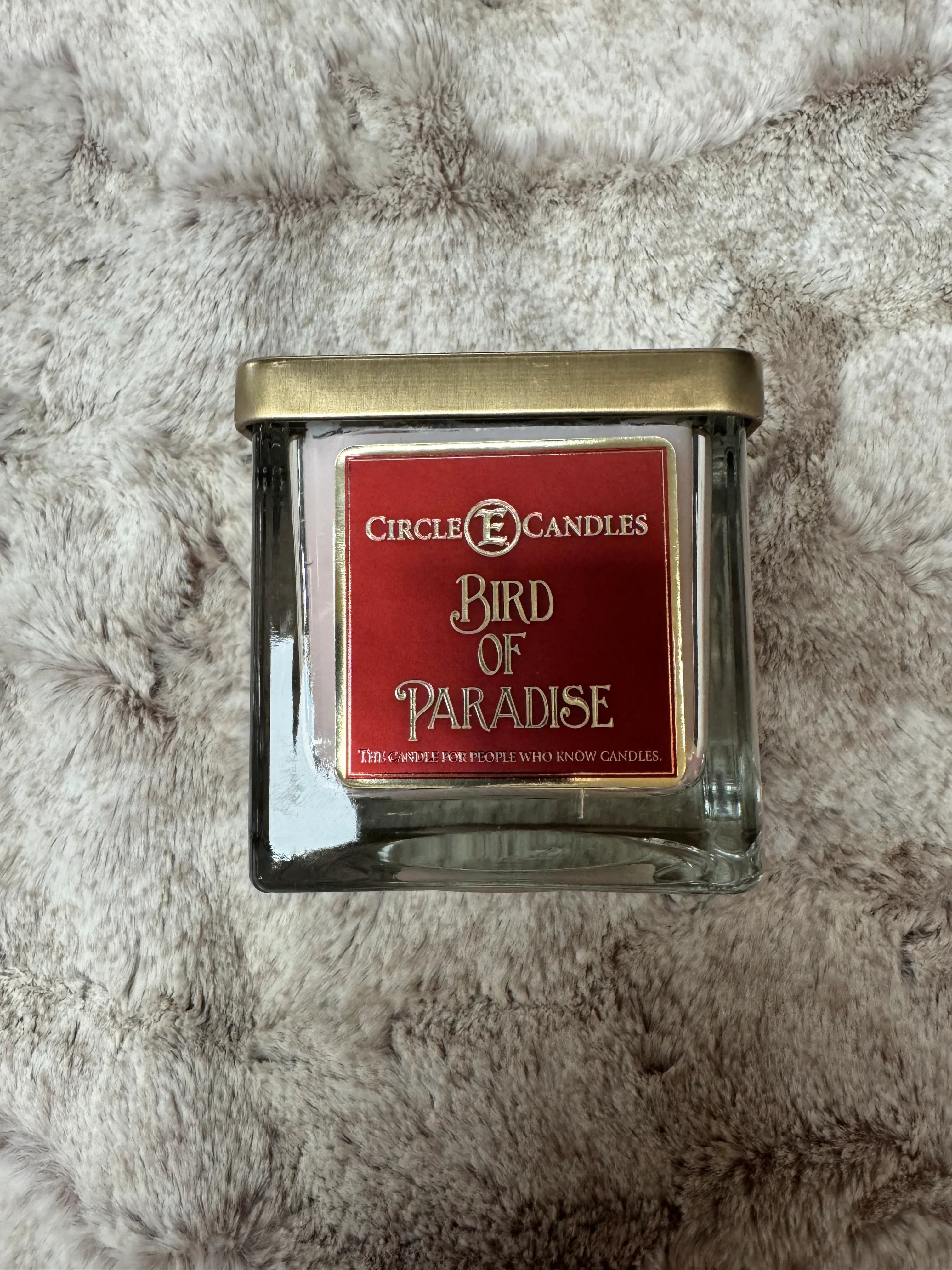Circle E 8 Oz Bird Of Paradise Candle - Darseys Furniture & Mattress Main image