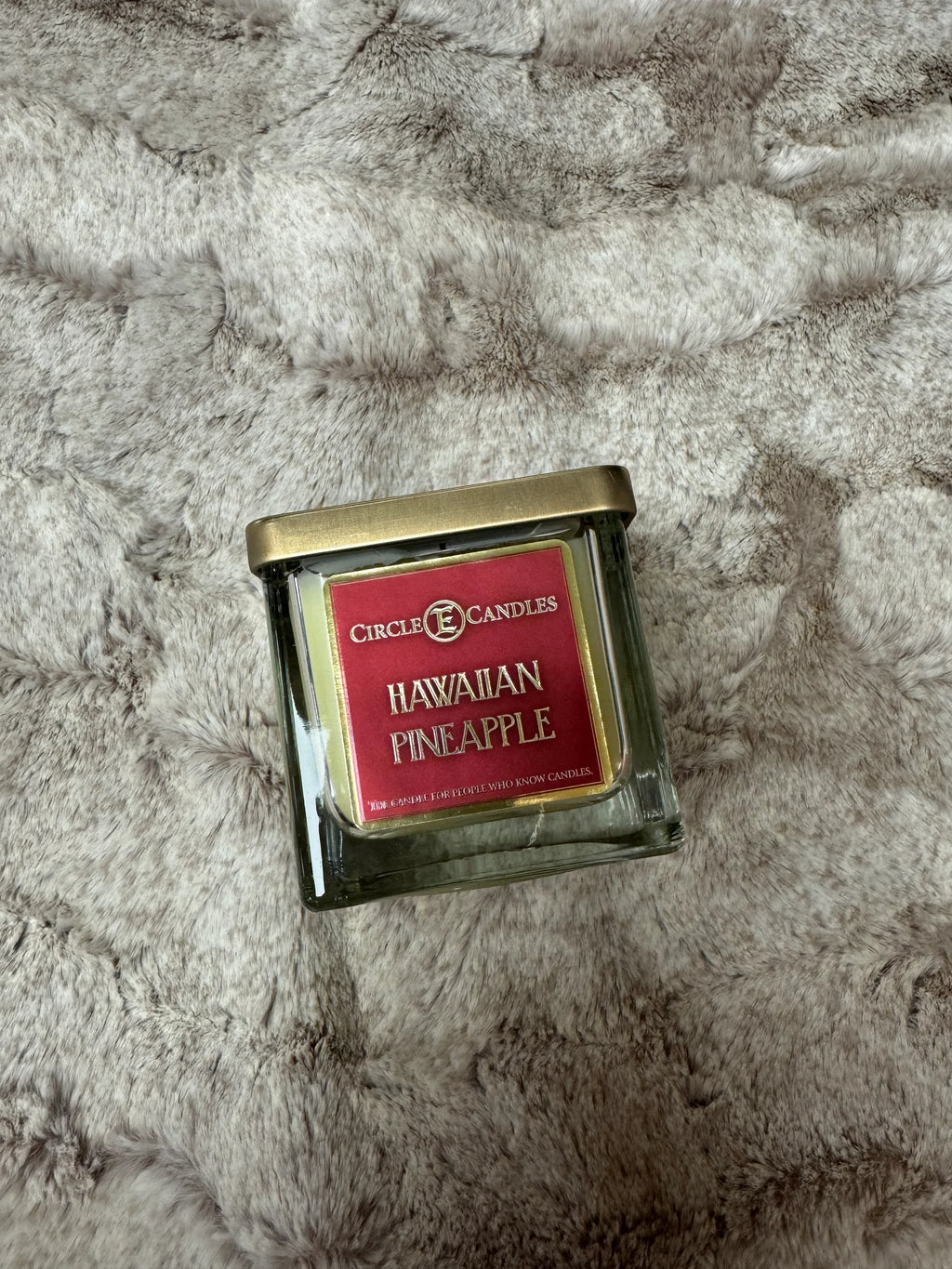 Circle E 8 oz Hawaiian Pineapple Candle - Darseys Furniture & Mattress