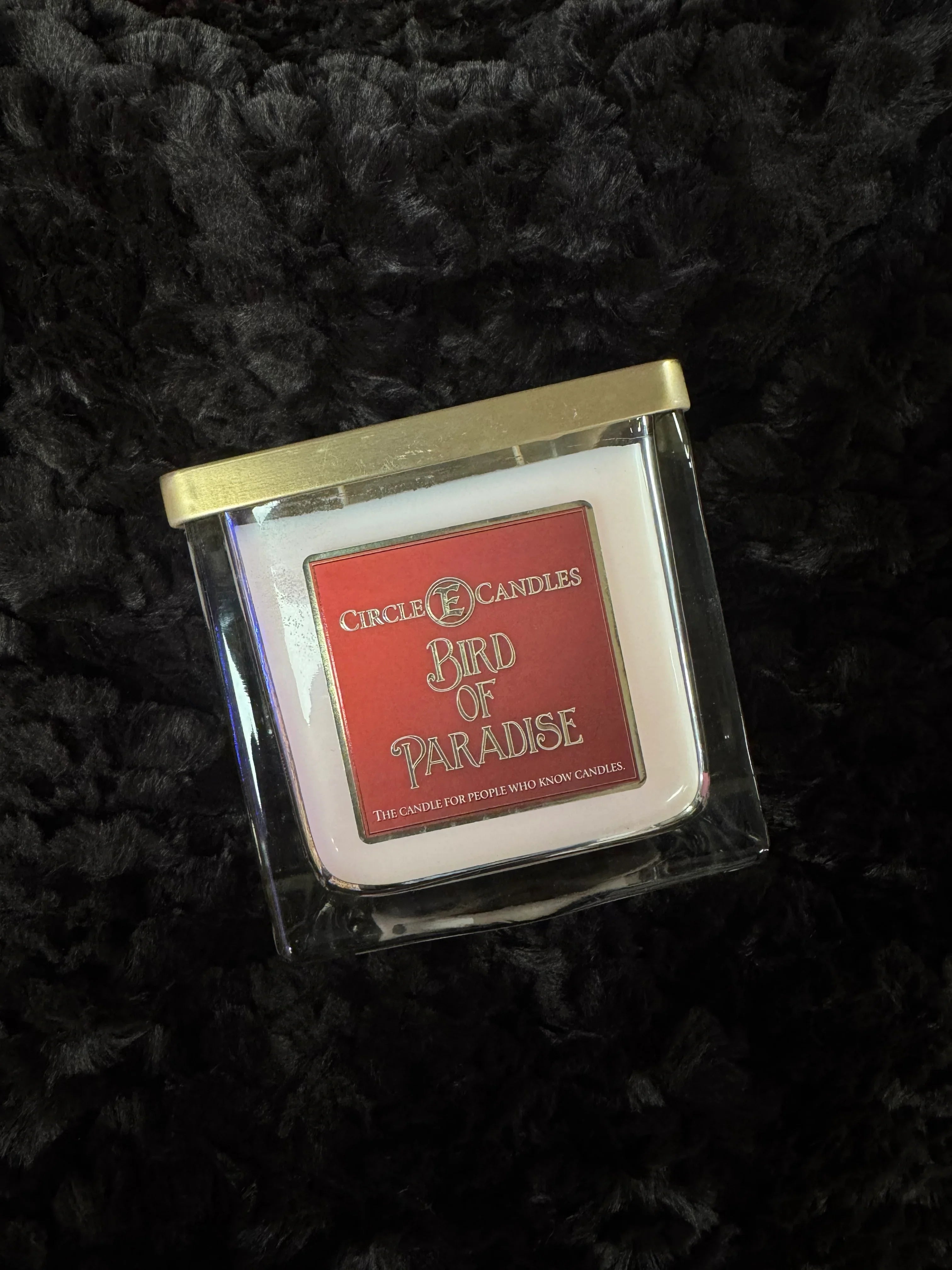 Circle E. Bird of Paradise 43 oz Candle Secondary image