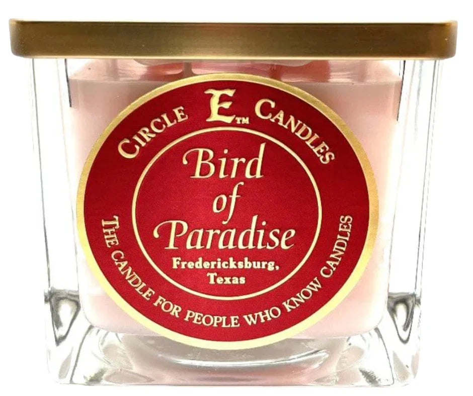 Circle E. Bird of Paradise 43 oz Candle - Darseys Furniture & Mattress
