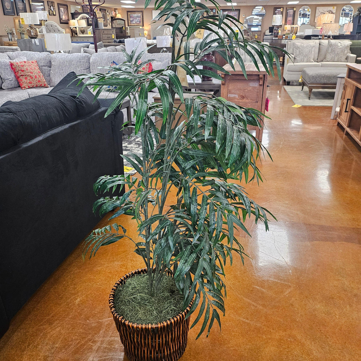 Phoenix Palm Accent 16859.