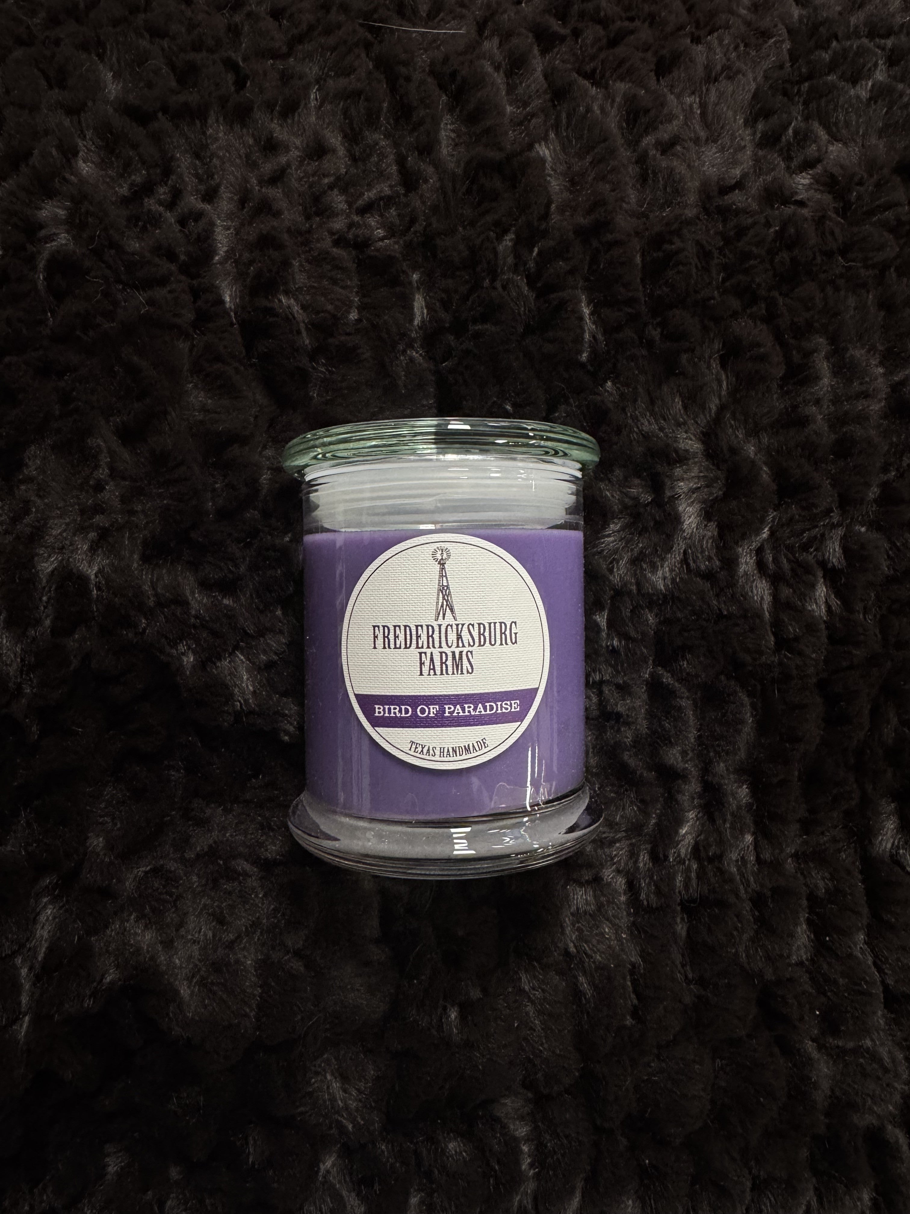 Bird of Paradise 9oz Candle - Darseys Furniture & Mattress