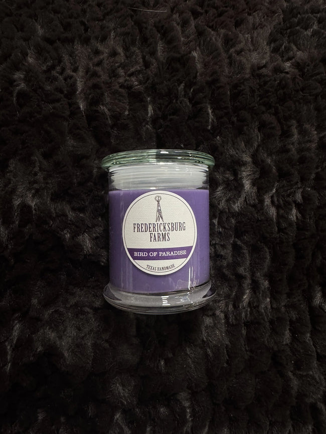 Bird of Paradise 9oz Candle - Darseys Furniture & Mattress Hover Image