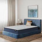 Cleona Firm 500957661-1050 Queen Size.