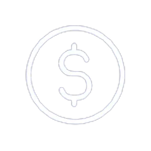 Money icon