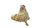 Stuffed Chicken - Darseys Furniture & MattressHandmade Heifer