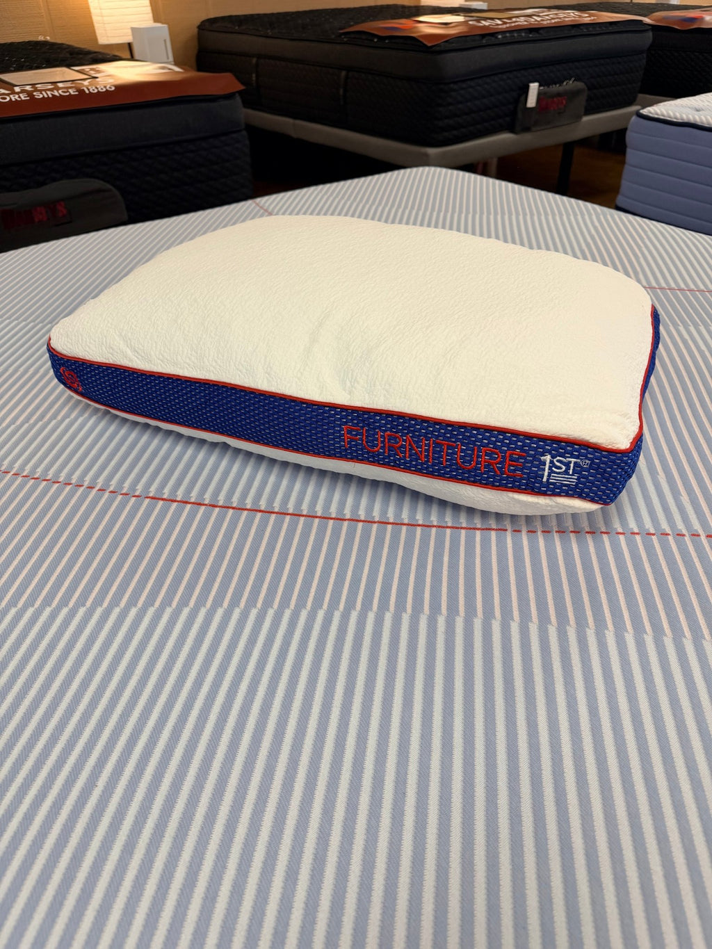 Unite Performance Pillow BGP0317NS - Darseys Furniture & MattressBedgear