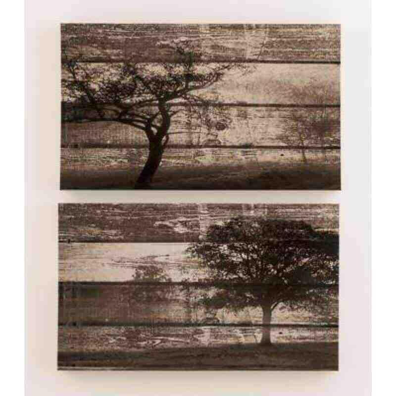 Wall Art Accent A8000047.