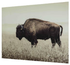 Brutus Wall Art A8000289 - Darseys Furniture & MattressAshley