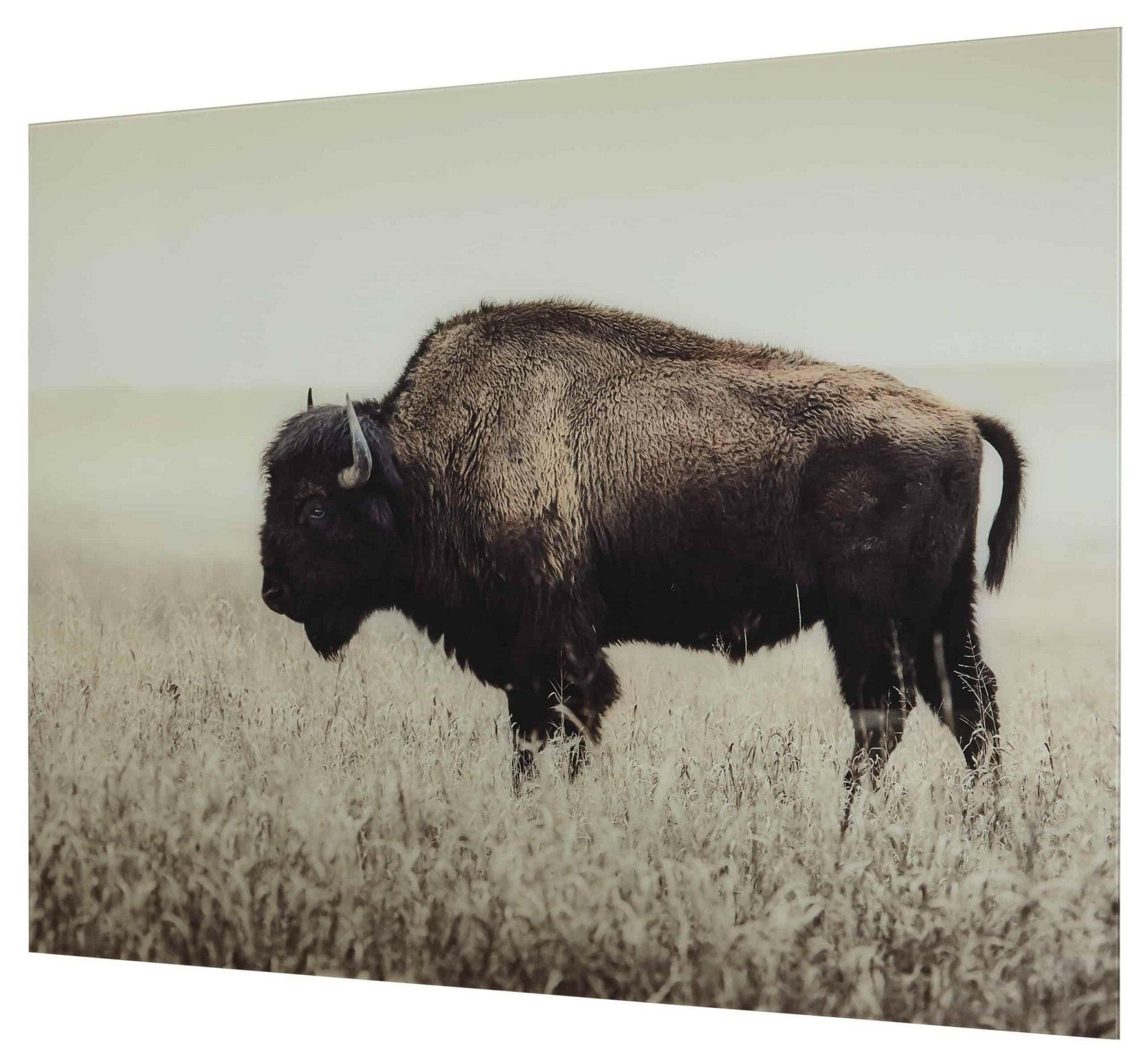 Brutus Wall Art A8000289 - Darseys Furniture & MattressAshley