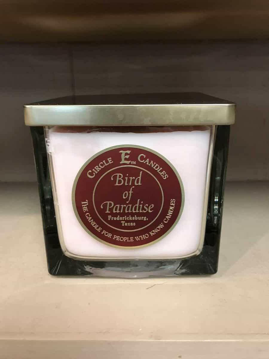 Circle E Bird of Paradise 43oz - DarseysCircle E Candle