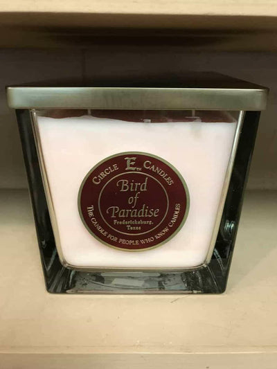 Circle E Bird of Paradise 75oz - DarseysCircle E Candle