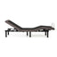 M555 Power Base STM555AB - Darseys Furniture & MattressMalouf Sleep