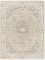 Santana Rug 2307 5 x 8 - Darseys Furniture & MattressSurya