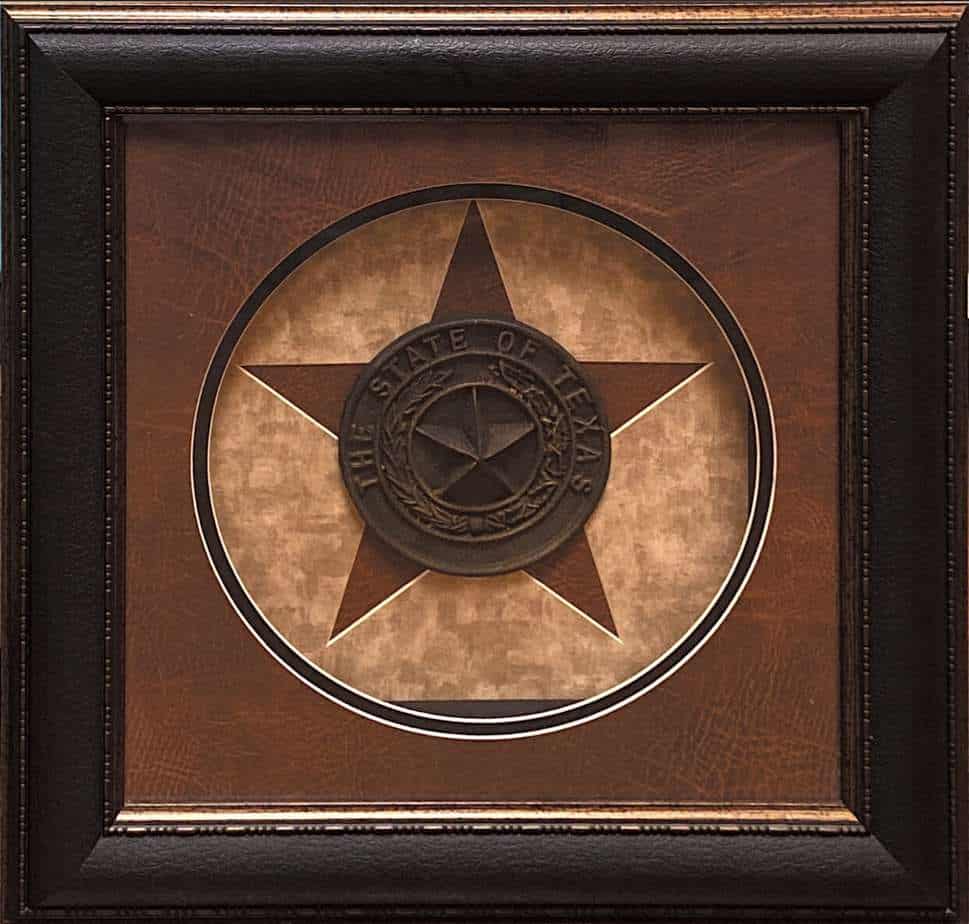 Texas Seal Picture 25064