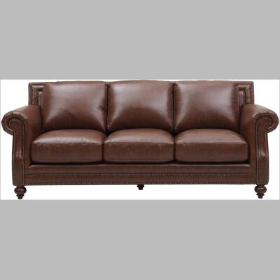 Bayliss Sofa Leather 4855-031721